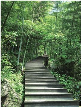 pagenumber_ebook=120,pagenumber_book=120