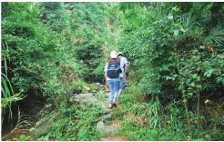 pagenumber_ebook=78,pagenumber_book=78