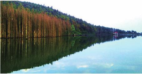 pagenumber_ebook=122,pagenumber_book=122