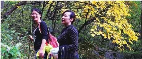 pagenumber_ebook=141,pagenumber_book=141