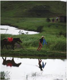 pagenumber_ebook=115,pagenumber_book=115