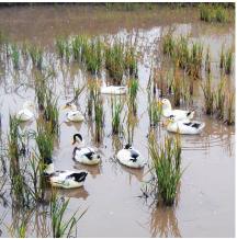 pagenumber_ebook=193,pagenumber_book=193