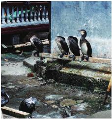 pagenumber_ebook=63,pagenumber_book=63