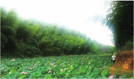 pagenumber_ebook=85,pagenumber_book=85