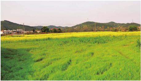 pagenumber_ebook=49,pagenumber_book=49