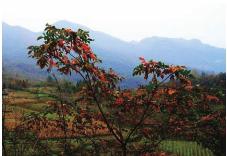 pagenumber_ebook=141,pagenumber_book=141