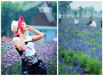 pagenumber_ebook=109,pagenumber_book=100