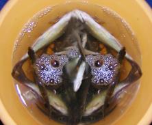 pagenumber_ebook=99,pagenumber_book=90