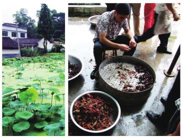 pagenumber_ebook=71,pagenumber_book=62