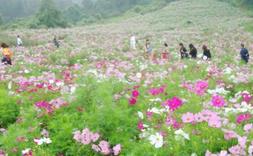 pagenumber_ebook=42,pagenumber_book=33