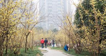 pagenumber_ebook=173,pagenumber_book=164