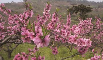 pagenumber_ebook=32,pagenumber_book=23