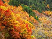 pagenumber_ebook=136,pagenumber_book=127