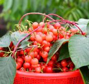 pagenumber_ebook=34,pagenumber_book=25