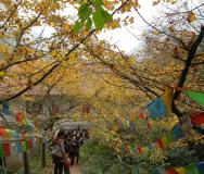 pagenumber_ebook=126,pagenumber_book=117