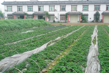 pagenumber_ebook=55,pagenumber_book=46