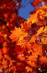 pagenumber_ebook=138,pagenumber_book=129