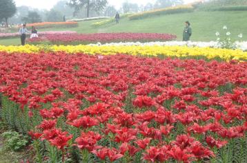 pagenumber_ebook=41,pagenumber_book=32