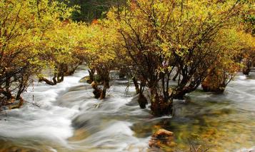 pagenumber_ebook=137,pagenumber_book=128