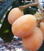 pagenumber_ebook=101,pagenumber_book=92