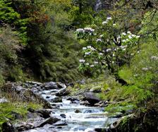 pagenumber_ebook=102,pagenumber_book=93