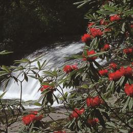 pagenumber_ebook=66,pagenumber_book=57