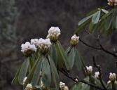 pagenumber_ebook=64,pagenumber_book=55