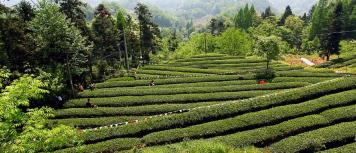 pagenumber_ebook=46,pagenumber_book=37