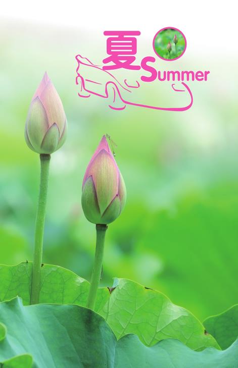 pagenumber_ebook=68,pagenumber_book=0