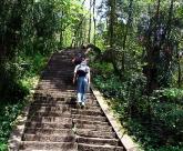 pagenumber_ebook=46,pagenumber_book=37