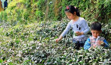 pagenumber_ebook=50,pagenumber_book=41