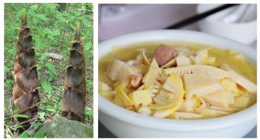 pagenumber_ebook=35,pagenumber_book=26