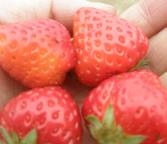 pagenumber_ebook=55,pagenumber_book=46