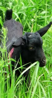 pagenumber_ebook=70,pagenumber_book=61