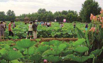 pagenumber_ebook=14,pagenumber_book=5