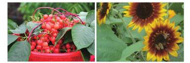 pagenumber_ebook=13,pagenumber_book=4