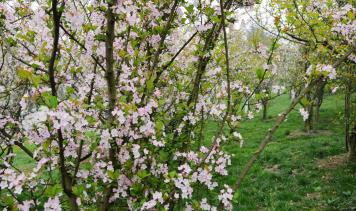 pagenumber_ebook=36,pagenumber_book=27