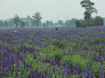 pagenumber_ebook=108,pagenumber_book=99