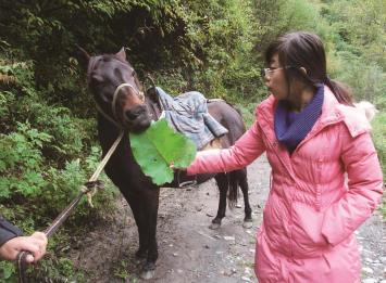 pagenumber_ebook=119,pagenumber_book=110