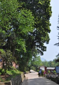 pagenumber_ebook=64,pagenumber_book=55