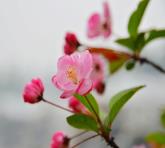 pagenumber_ebook=36,pagenumber_book=27