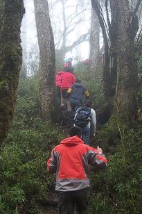 pagenumber_ebook=65,pagenumber_book=56