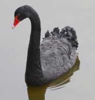 pagenumber_ebook=38,pagenumber_book=29