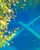 pagenumber_ebook=136,pagenumber_book=127