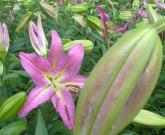 pagenumber_ebook=41,pagenumber_book=32