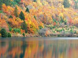 pagenumber_ebook=144,pagenumber_book=135