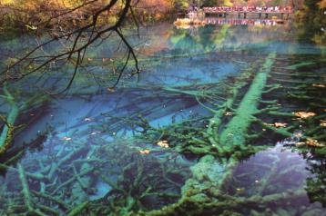 pagenumber_ebook=142,pagenumber_book=133