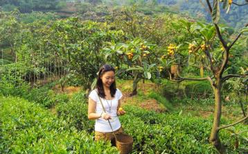 pagenumber_ebook=31,pagenumber_book=22