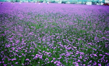 pagenumber_ebook=106,pagenumber_book=97