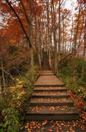 pagenumber_ebook=154,pagenumber_book=145